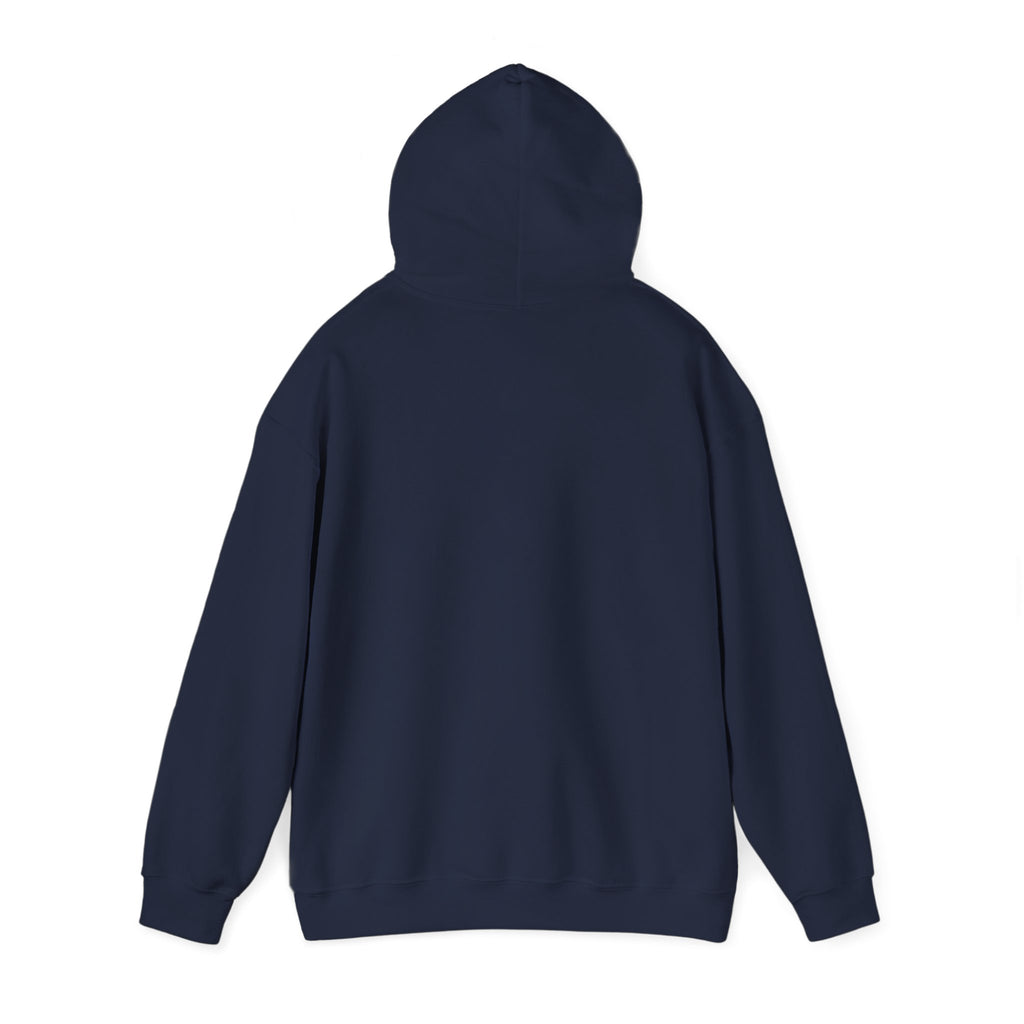 Retro 70s Sunset Surf Graphic Hoodie | Analog Sunshine, Vintage Palm Postcard Navy