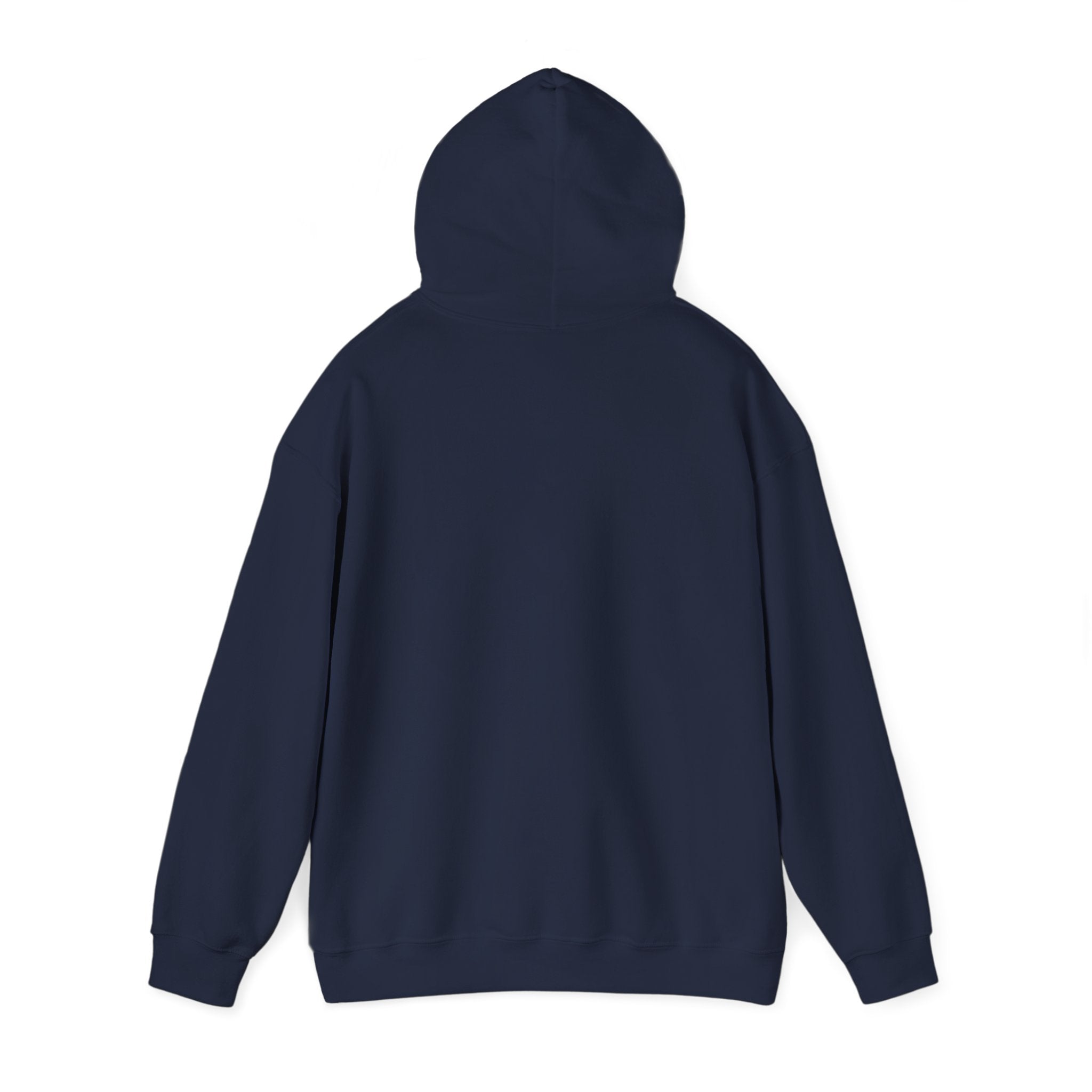 Retro 70s Sunset Surf Graphic Hoodie | Analog Sunshine, Vintage Palm Postcard Navy